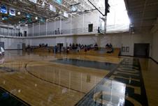 Elms College Athletic Showcase To Be Held Feb. 24