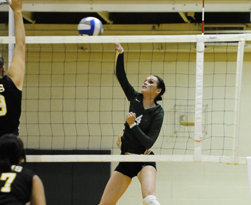 Womens Volleyball Splits With Becker And Mount Ida