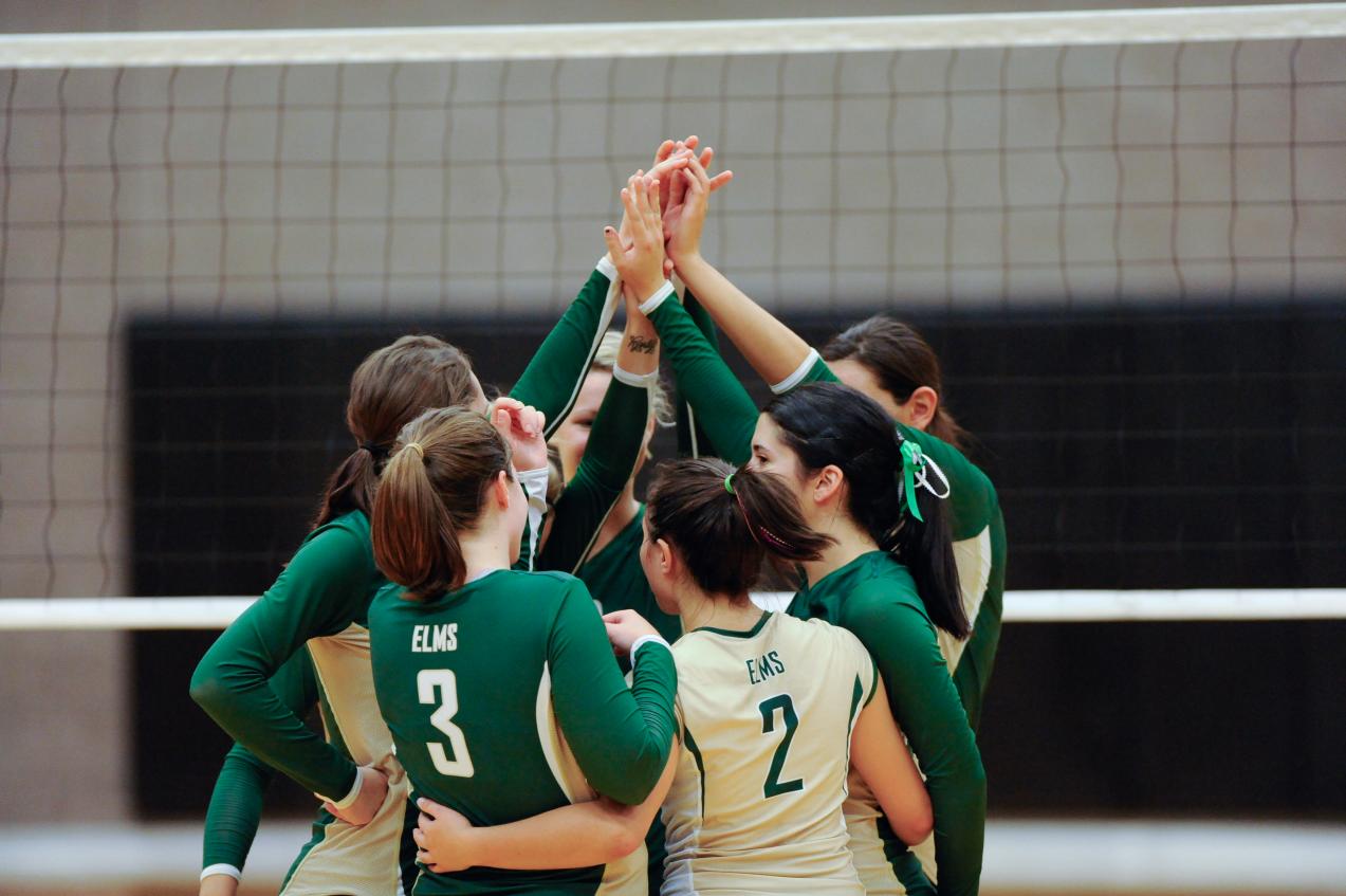 Women&rsquo;s Volleyball Downs Newbury College, 3-1