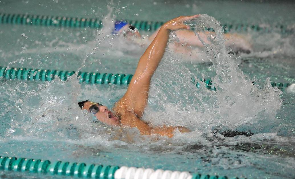 Swimming Named CSCAA Fall Scholar All-American Teams
