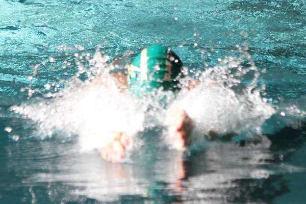 Carrier, Bergstrom Selected To NEISDA All-Sportsmanship Team