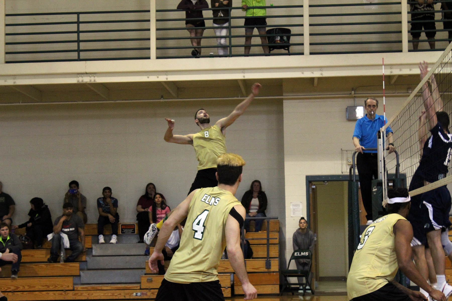 Men's Volleyball Battles Endicott In Three Set Loss