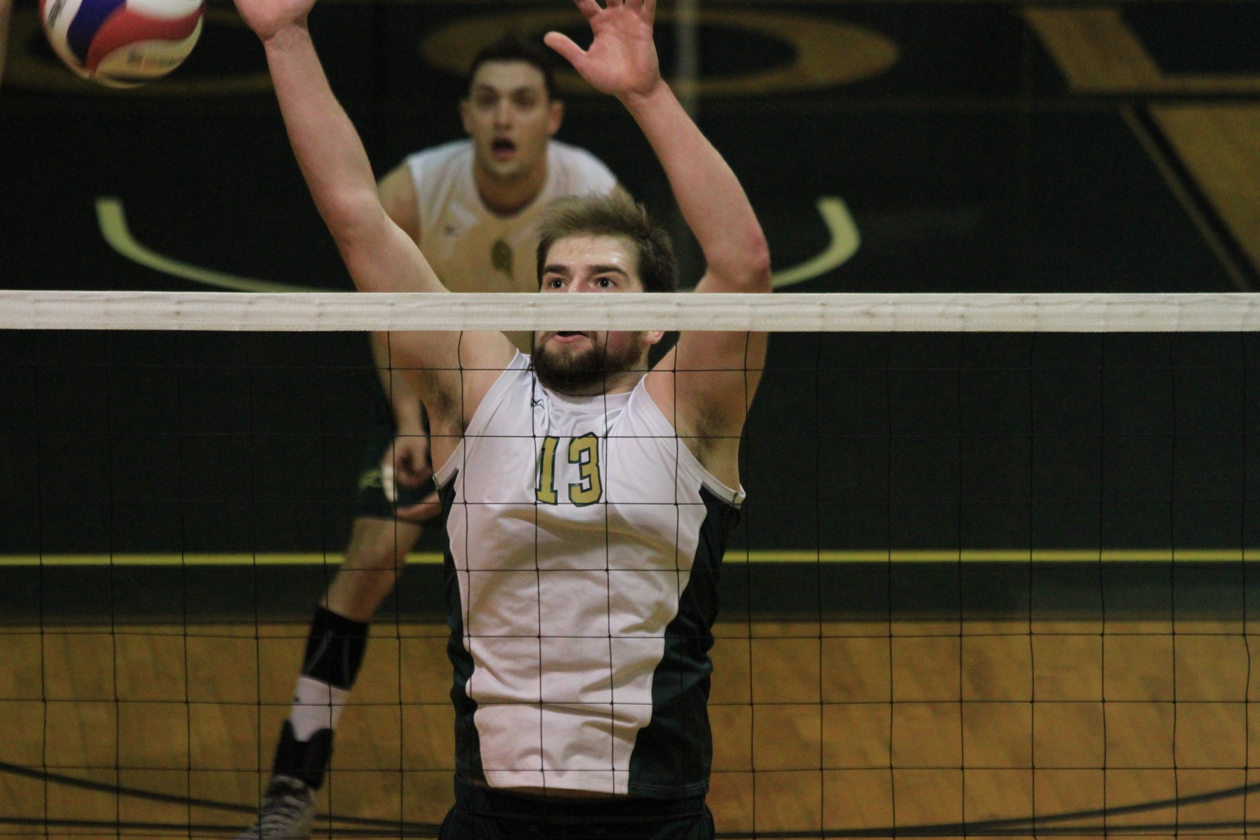 Men's Volleyball Splits Tri-Match At MIT