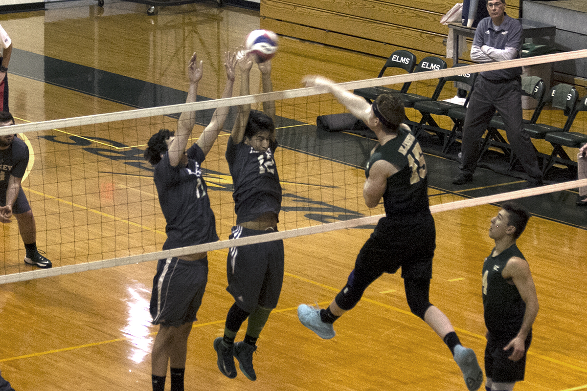 Blazers Put Together Complete Performance Against SVC