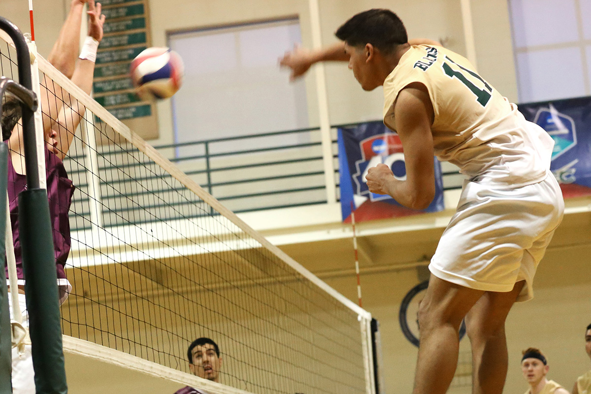 Blazers Hang With No. 1 Springfield In Three-Set Loss