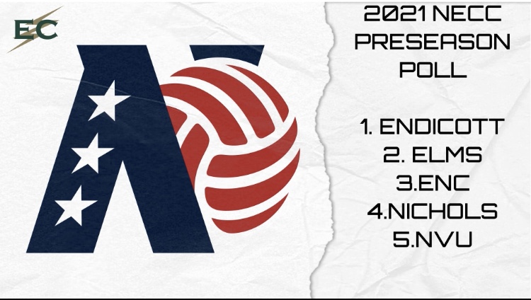 Men&rsquo;s Volleyball Tabbed Second in NECC Preseason Poll