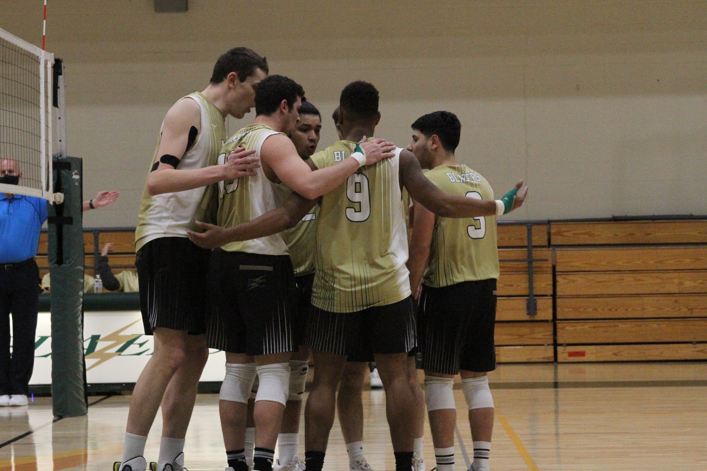 Blazers Fall to Gulls at Home