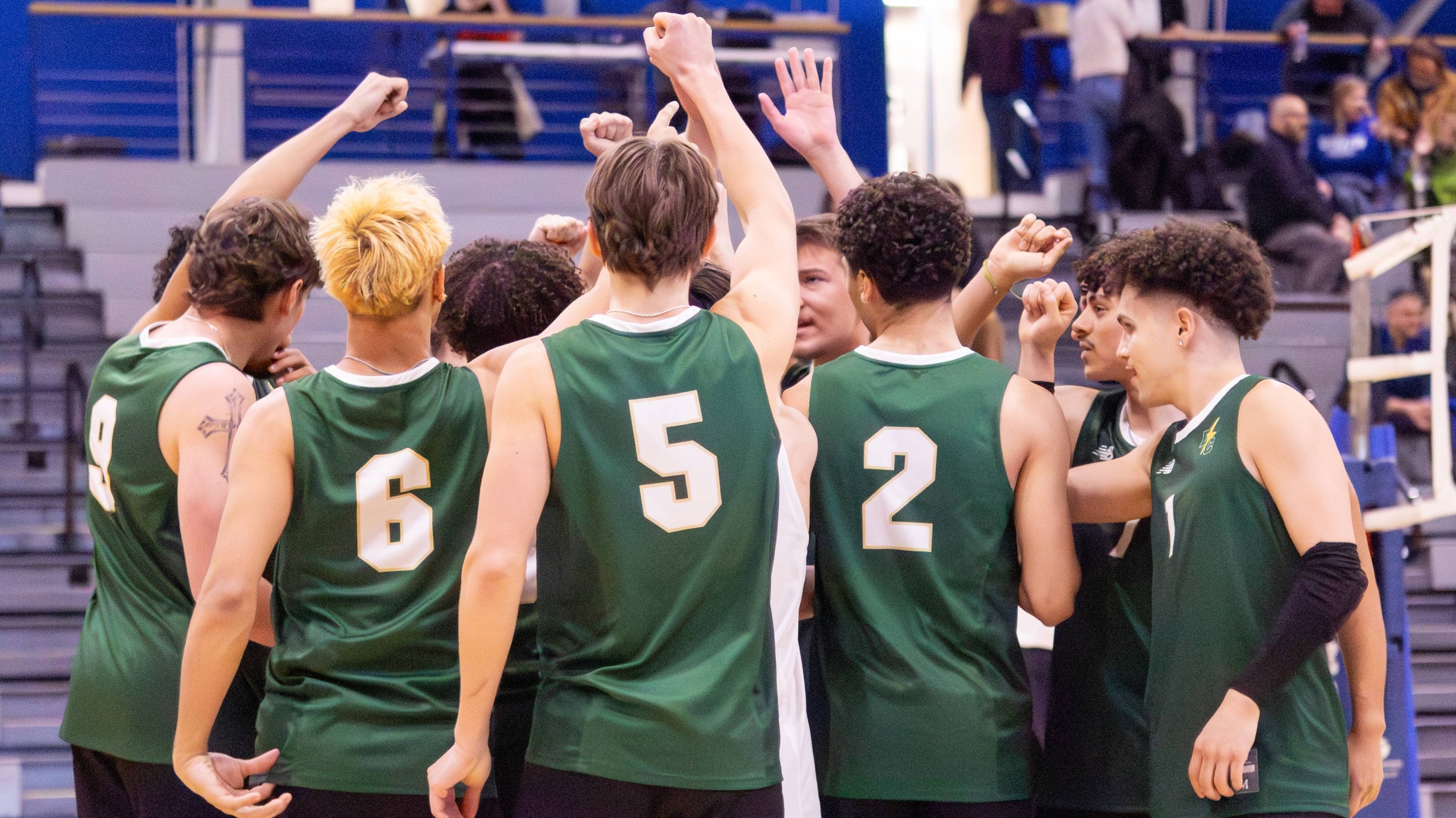 Men's Volleyball Lose to No. 1 Springfield and Hunter in Non-Conference Tri-Match
