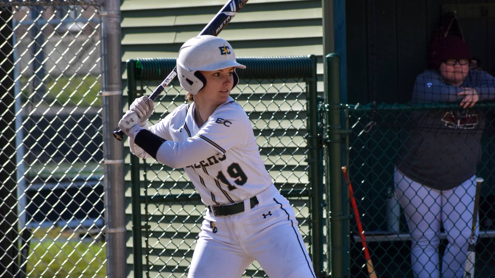 Softball Lose to La Roche and Alfred State