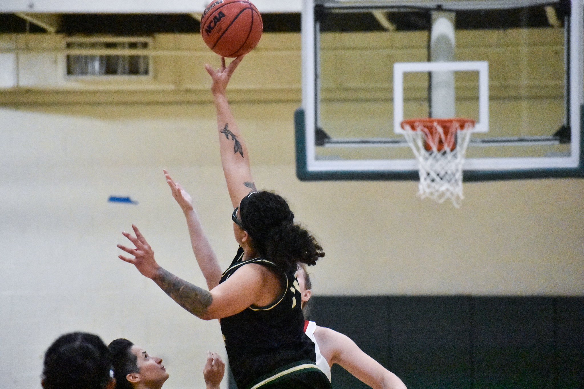 Women&rsquo;s Basketball Falls to Pride