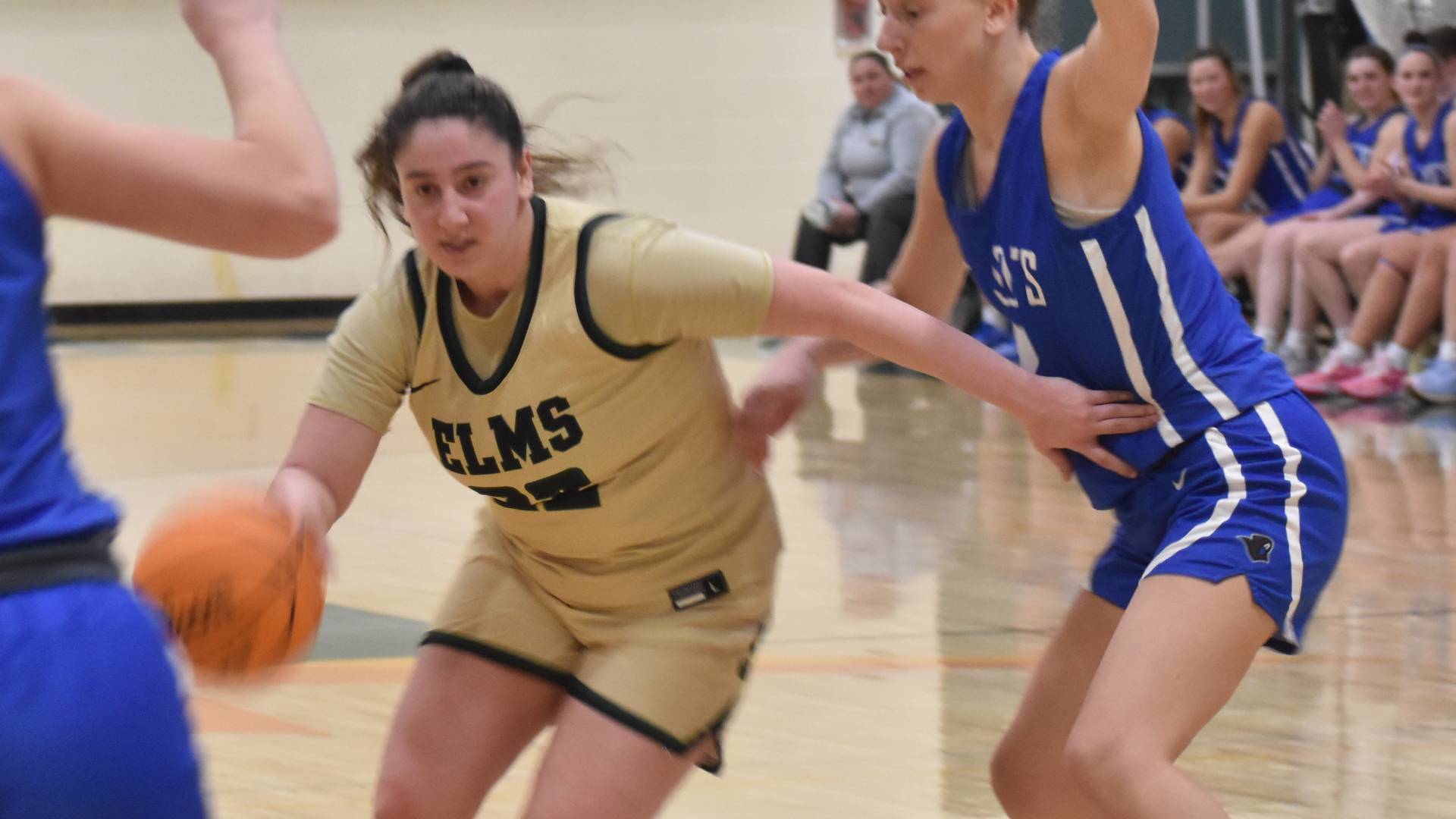 Women's Basketball Loses Season Opener at Emerson