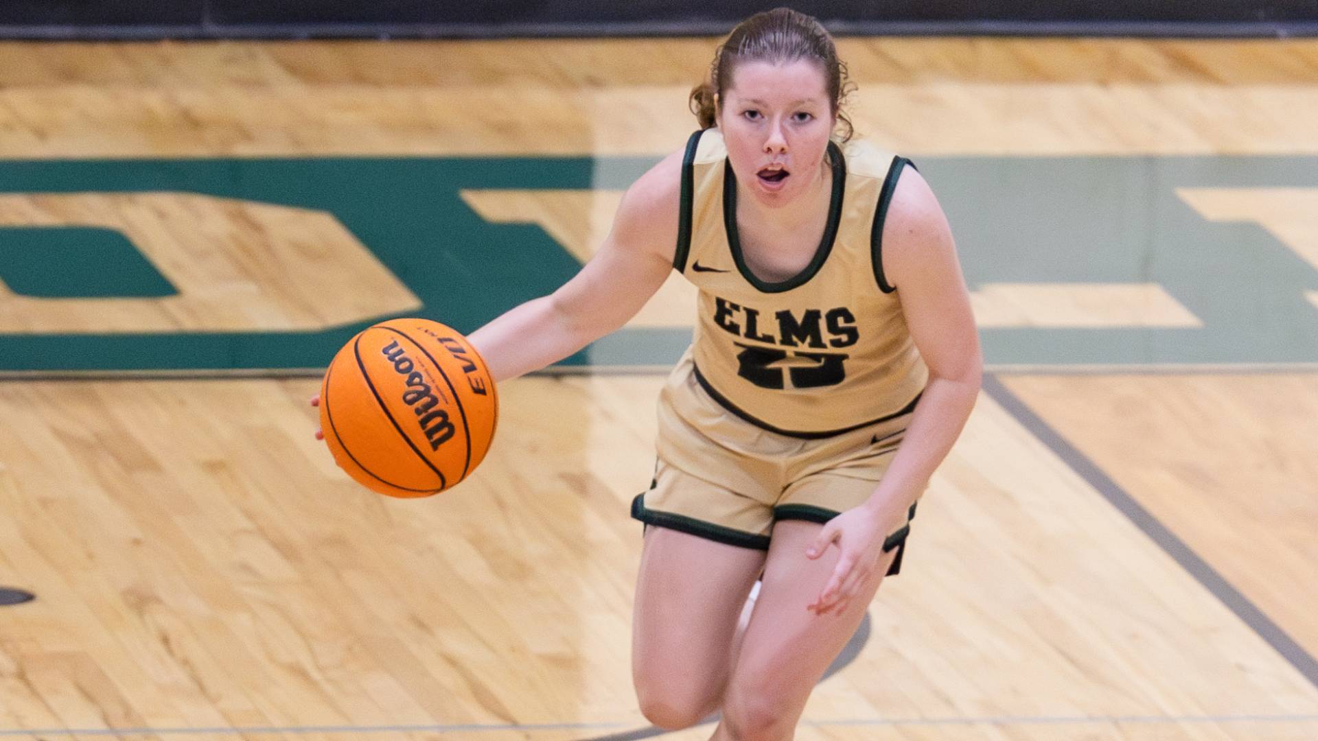 Women's Basketball Sting Hornets for First Home Victory of the Season