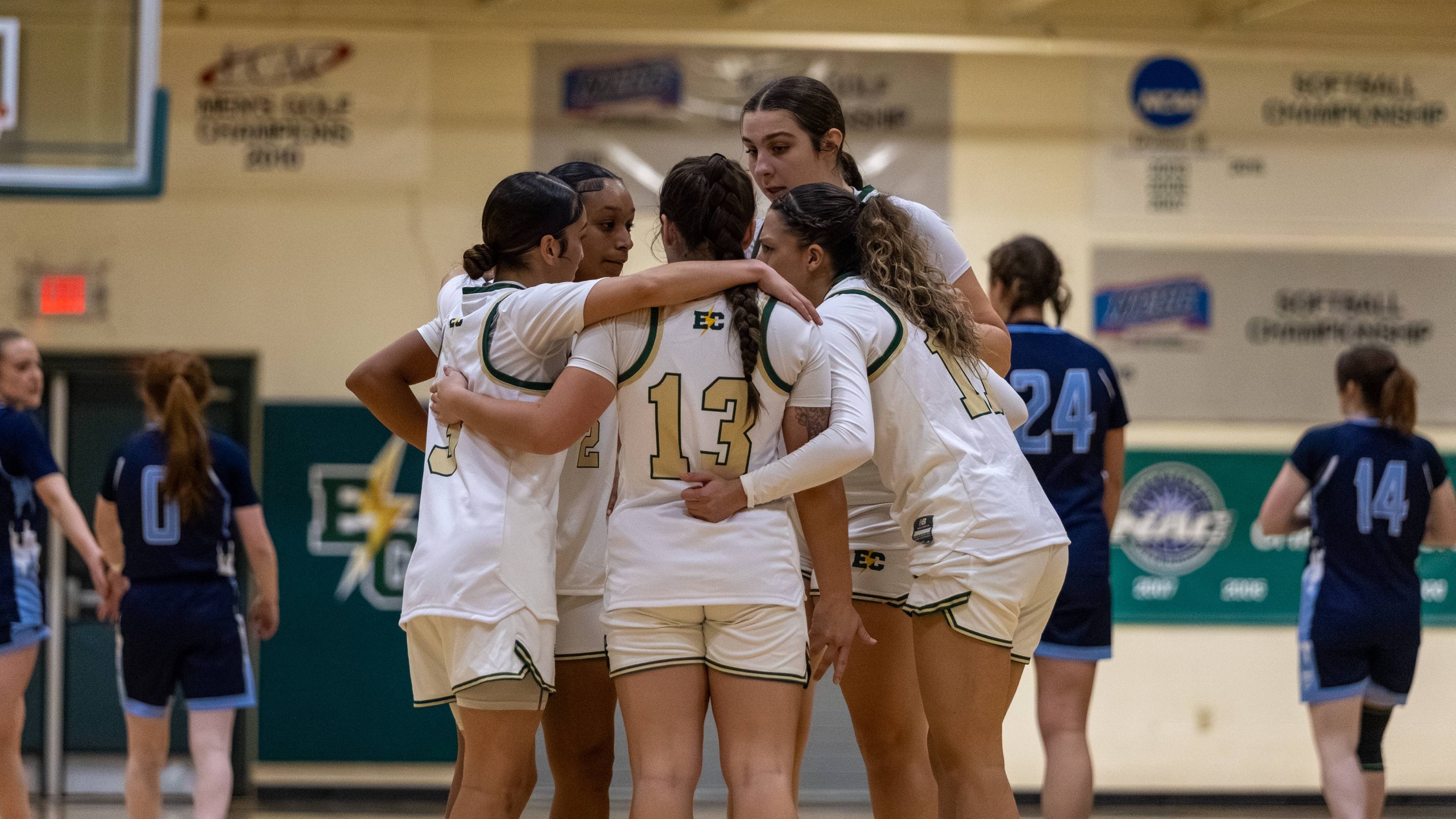 Women's Basketball Lose a Tough Conference Matchup to New England College