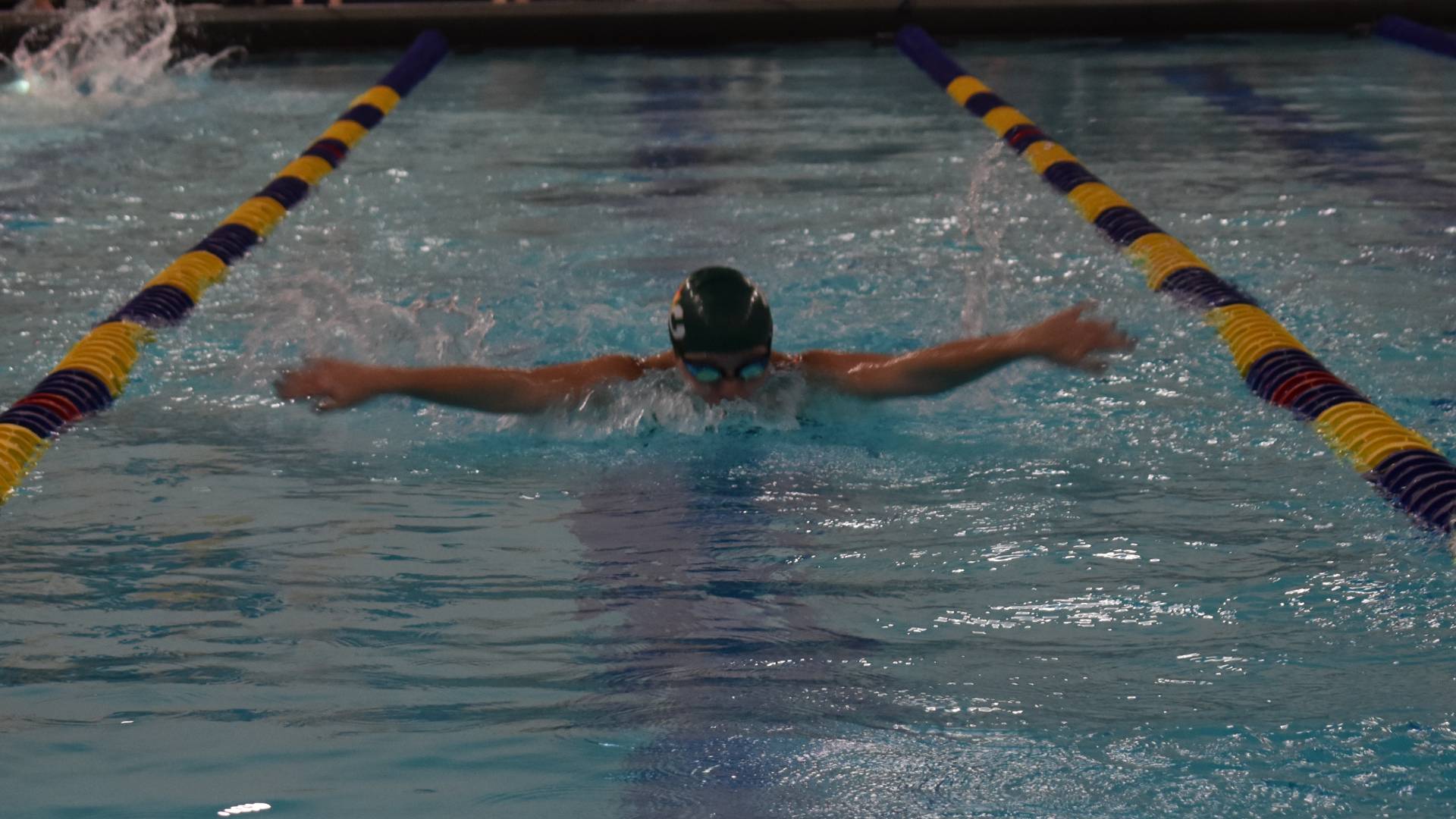 Swimming Competes Against Simmons and Regis in Conference Tri-Meet