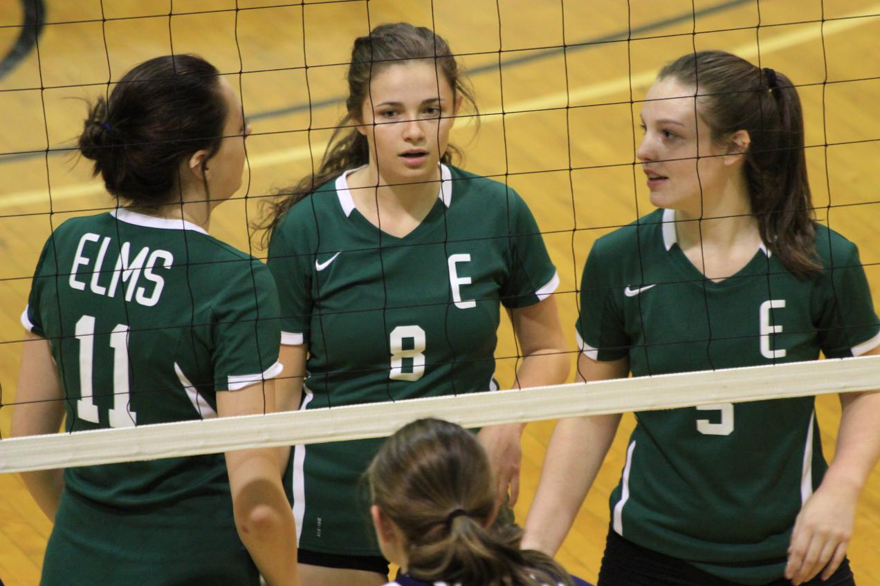 Daniel Webster Sweeps Women's Volleyball