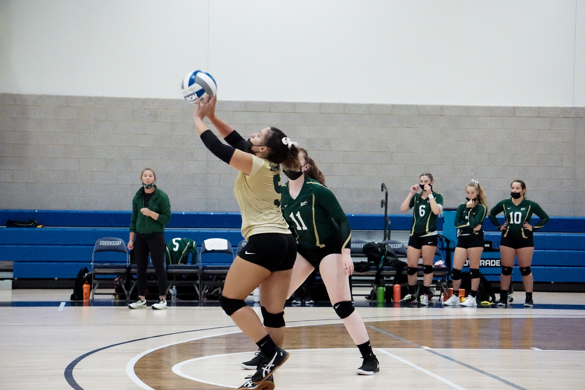 Blazers Take Down Falcons