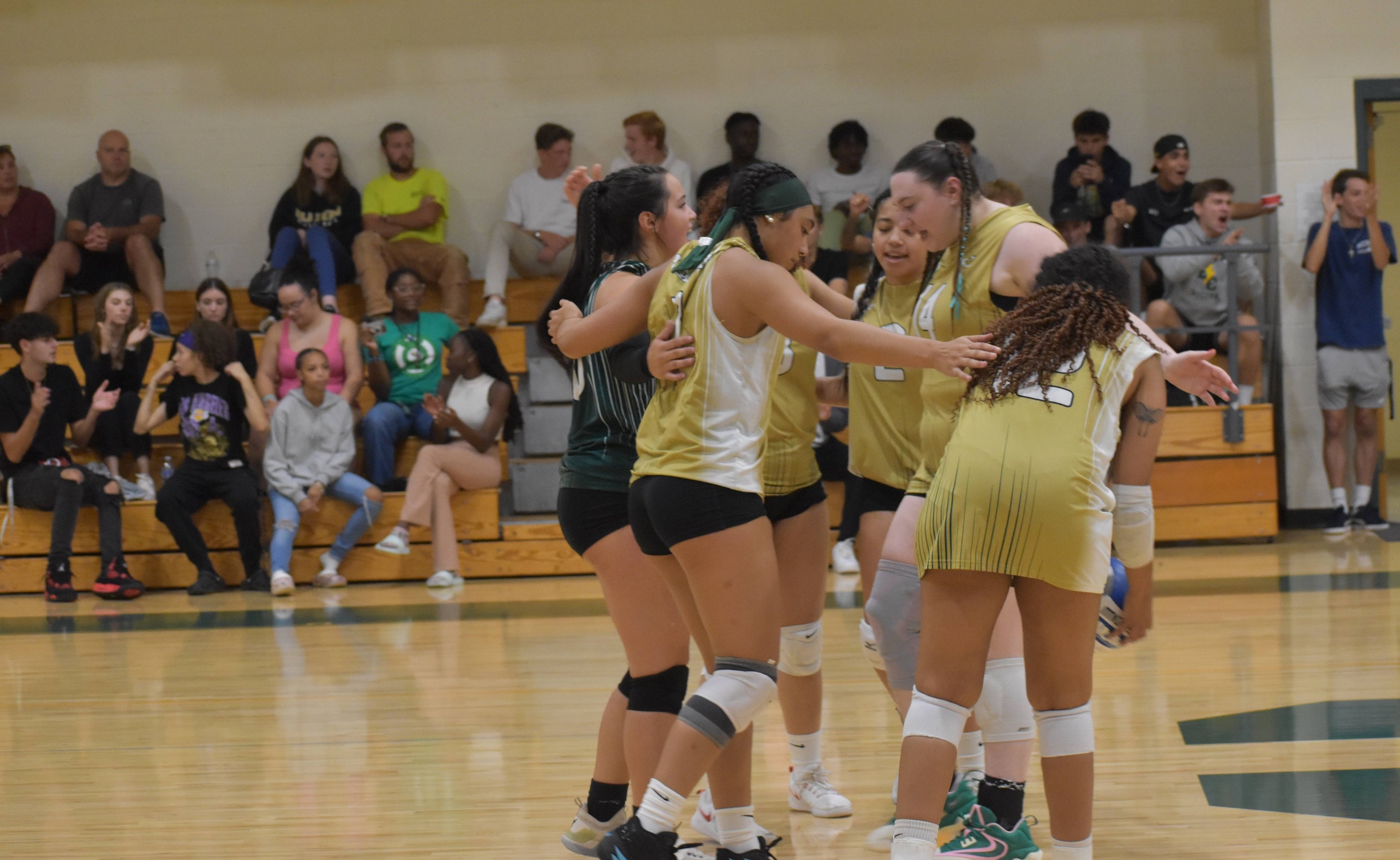 Women's Volleyball Can Not Stop Bison