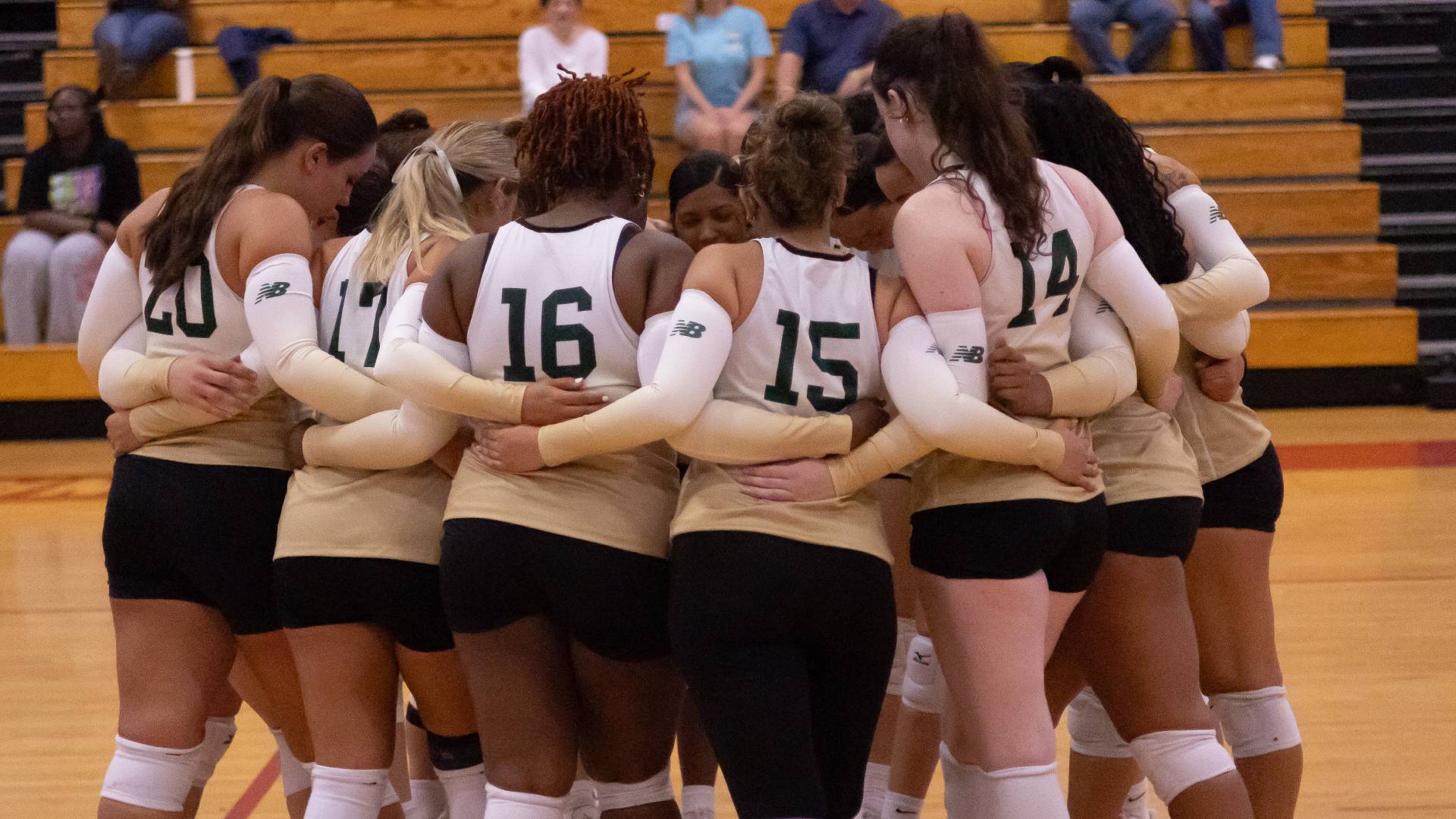 Women's Volleyball Lose Home Tri-Match to Framingham State and Fisher